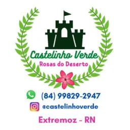 Castelinho Verde Rosas do Deserto