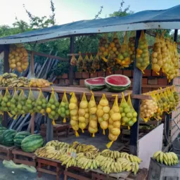 🍊PROMOÇÃO DAS FRUTAS🍉