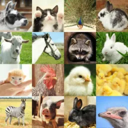🐵VENDA🐔 E 🪿 Doação 🐖 DE 🐶 ANIMAIS Domésticos 🐗COARI-AM🐆