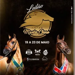 OPORTUNIDADES : LEILÃO HARAS MONTE CLARO‼️