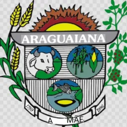 Araguaiana MT , compra , venda e gambira.