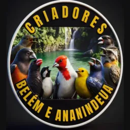 CRIADORES DE BELÉM E ANANINDEUA