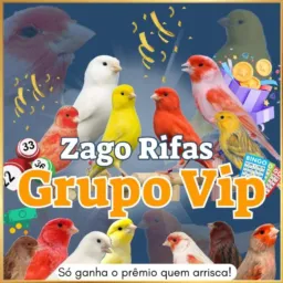 Zago Rifas 🍀🍀🍀