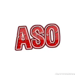 INFORMAÇÕES ASO