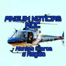 07 PINGUIM NOTÍCIAS MOC