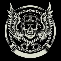 🛵🏍️ motocas de plantão DF/GO GRUPO: N° 2
