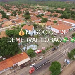 NEGÓCIOS DE DEMEVAL LOBÃO
