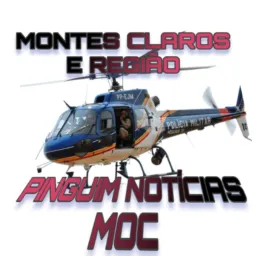 13.PINGÜIM NOTÍCIAS MC RG