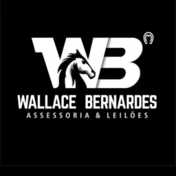 WB Assessoria - Leilões - Vendas direta