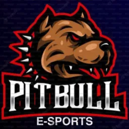 💢 SELETIVA PITBULL E-SPORTS 💢