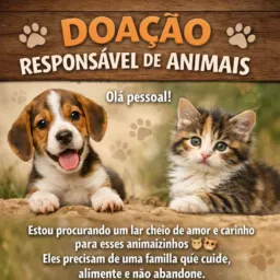 Adoção de animais 🫶🏻🩷