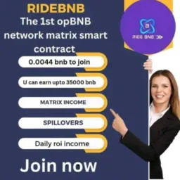 *100% real income*