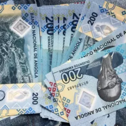 Hora do Bisno 🦺💰