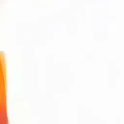 AAP cursos a solicitar ao SENAR