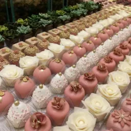 Brindarolli doces e investimentos recepção
