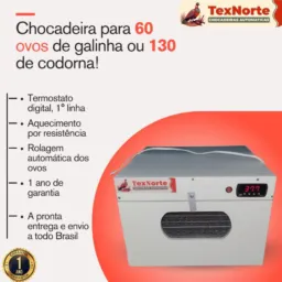 Mundo caipira aves e animais domésticos
