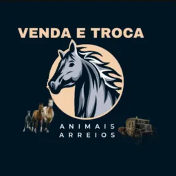 VENDA  e TROCA  de animais e areios🐎🐎