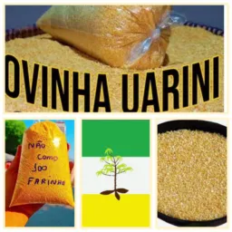 GM Ponto da farinha