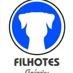 FILHOTES PASTOR ALEMÃO