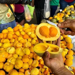 Vendas de Pequi (entregamos)