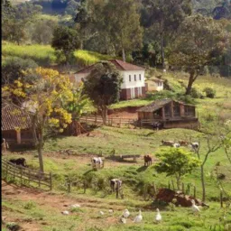 Armazém Rural do Paraná