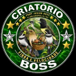 CRIATÓRIO BOSS -SC