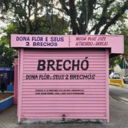 GRUPO VIP DONAFLOR E SEUS DOIS BRECHÓS