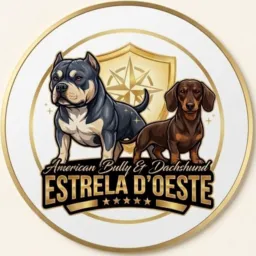 VIP ✨Estrela d’ Oeste🧡✨