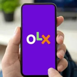 Olx Maringá e Região (20)