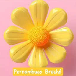 🏵Brechó Pernambuco SÓ MULHERES DDD 81