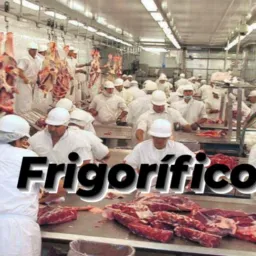 FRIGORÍFICOS BRASIL🇧🇷 EXTERIOR