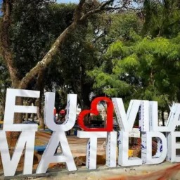 Feira Vila Matilde 🧳