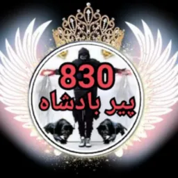 پیر بادشاہ830 نمبر اوپن رپورٹ گروپ