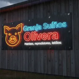 🐷 Suínos Oliveira itabaiana PB🐷
