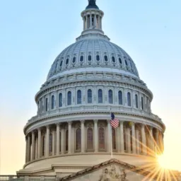 Capitol Hill 24/7 🏛️