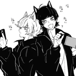 Grupo dos otakus core