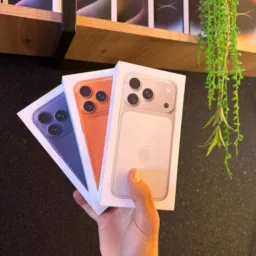 ² PALMAS VENDAS 📲