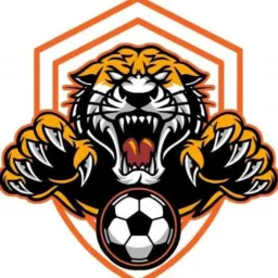 El tigre en apuestas deportivas ⚽⚽🔥🔥