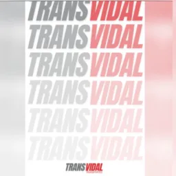 1️⃣TRANSVIDAL//MS TABOKA®️