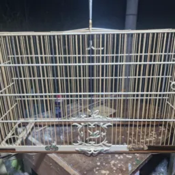 🇧🇷 RIFA GAIOLA ESTILOSA 🇧🇷