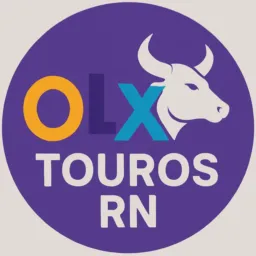 Olx Touros RN