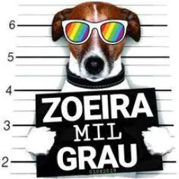 ZUEIRA MIL GRAU