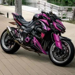 😎 Família Motóca da 011 à 019 🏍️ 🏁 🇧🇷 2