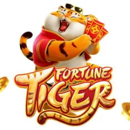 Lançamento e sorteio de bancas🐯