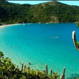 ANGRA/PARATY CLASSIFICADOS