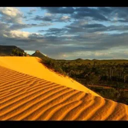 Tocantins LINKS.