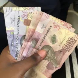 Grupo vip da elephant bet e Premier bet
