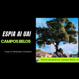 ESPIA AI UAI! CAMPOS  BELOS