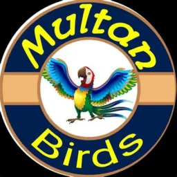 Multan Birds join only Multan khanewal Friends
