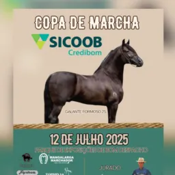 6ª COPA DE MARCHA BOM DESPACHO 2025